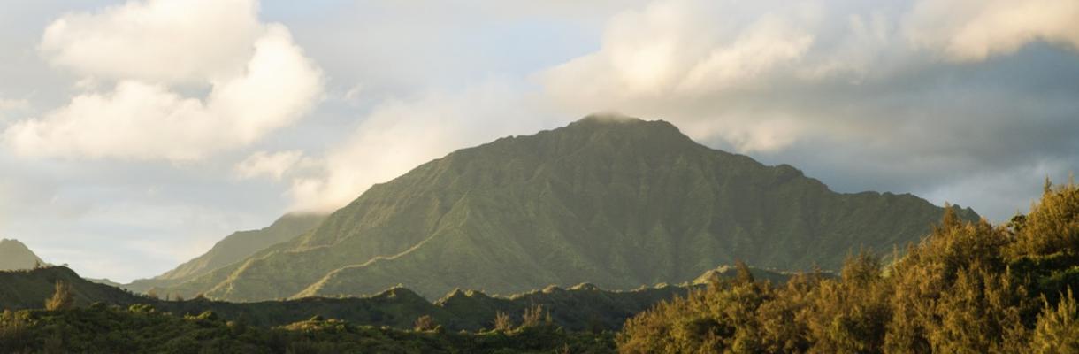 hawaii-beach